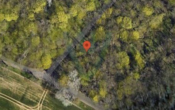 Bunker Woods abandoned location in Grand Est, Grand Est, France - Bunker for urban exploration